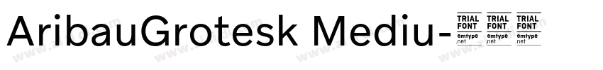 AribauGrotesk Mediu字体转换